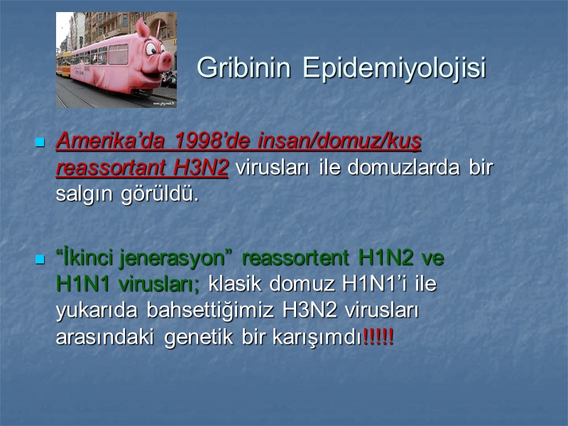 Gribinin Epidemiyolojisi Amerika’da 1998’de insan/domuz/kuş reassortant H3N2 virusları ile domuzlarda bir salgın görüldü. 